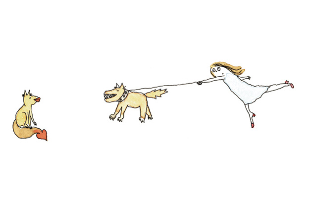 Illustratie: Kat en hond